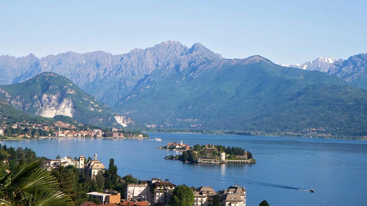 Fiore Rosso Stresa